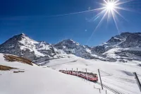Braunbär Hotel & Spa - Former Alpine Sunstar Hotel Các khách sạn gần Luftseilbahn Wengen Männlichen