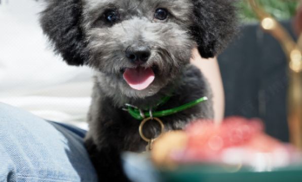 BEI Zhaolong Hotel, part of JdV by Hyatt