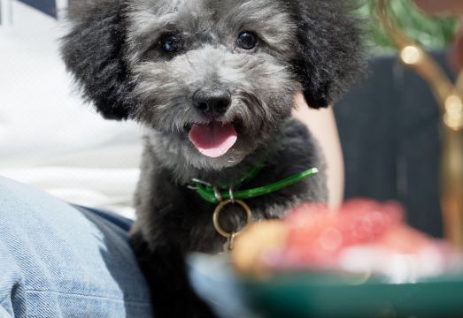베이징 싼리툰 서우베이자오룽 호텔의 현대적인 욕실