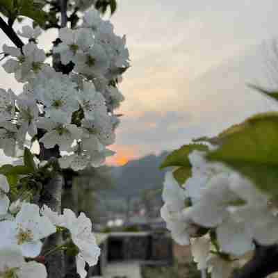 Beijing Banmu Spring Homestay Hotel Exterior