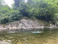 Persimmon Tree Homestay