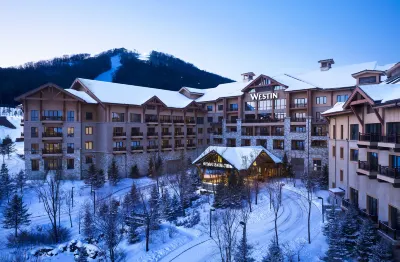 더 웨스틴 창바이산 리조트 Changbai Mountain Wanda Resort 호텔
