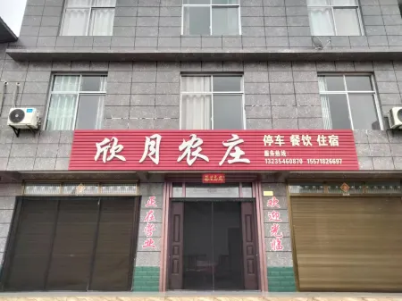 Enshi Xinyue Farm Отели рядом с достопримечательностью «Enshi Suobuya Stone Forest Scenic Area»