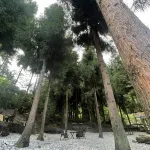 Shanqiu Mijing Courtyard