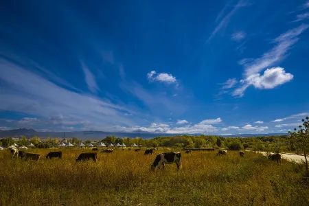 Liangmuxi Homestay Отели рядом с Аэропорт Канас