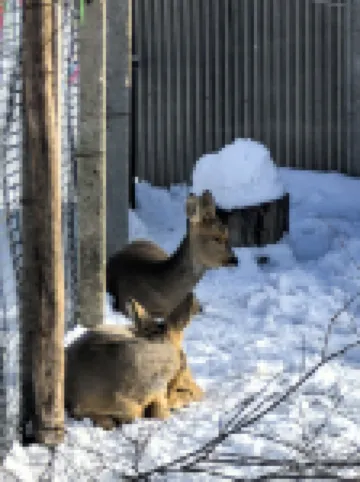 Xuegu Xiaoyun Farmhouse (Xuegu Scenic Area Branch)