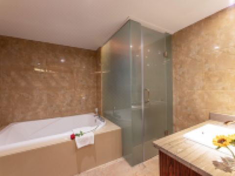 金丽湾酒店(昆山高铁南站店) - 豪华特色房