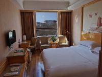 维也纳酒店(拉萨布达拉宫公园店) - 供氧布达拉宫观景大床房