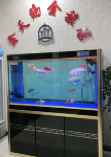 Yushu xin tianci gold fashion hotel