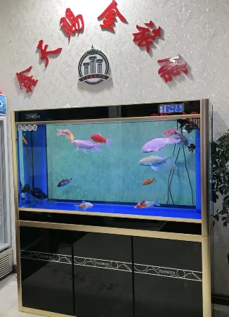 Yushu xin tianci gold fashion hotel Отели в г. Юйшу