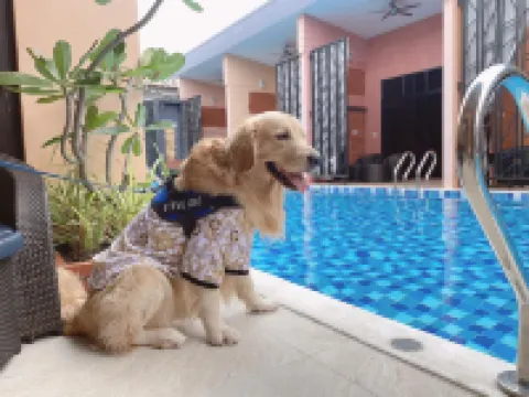 บ้านนพปฎล หัวหิน ลอฟท์ โฮเทล โรงแรมใกล้วัดบ่อฝ้าย