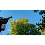 Huanxisha Inn Hotels in Jianchuan County