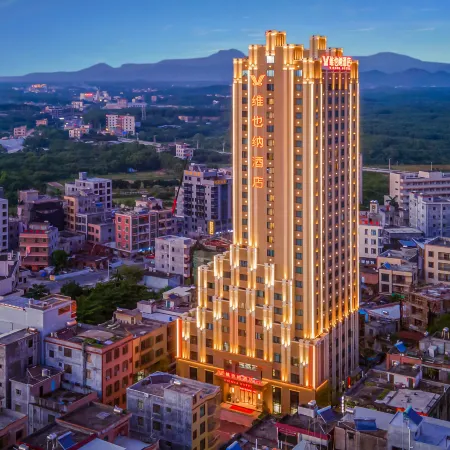 Vienna Hotel (Maoming Guanzhu Avecious Center Branch)