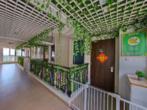 森林城市 森林螞蟻民宿