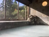 自家源泉かけ流しの宿　箱根翠泉 - バスタブ