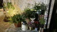 Tonglu Chunye Flower Room Homestay (OMG Heartbeat Park)