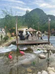 Bailongtan Chaxi Xiaoyuan Homestay (Xinyang)