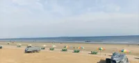 ‌Dream of Sea
