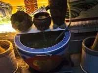 Ruidong Homestay Hotel di Weihui