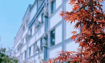 Mengyin Mengshan Hotel