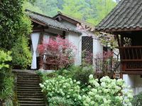 青城见素山居民宿 - 若讷私家小庭院山景标间