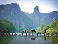 丽水缙云仙都石迹悠居民宿 - 山景标准间