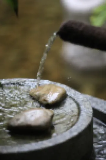 Putuo Mountain Villa