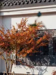 DOMI Hotel Hoteles en Shanghái