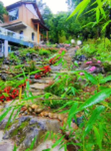 Libo Xiaoqikong Xinyue Art Flower Inn