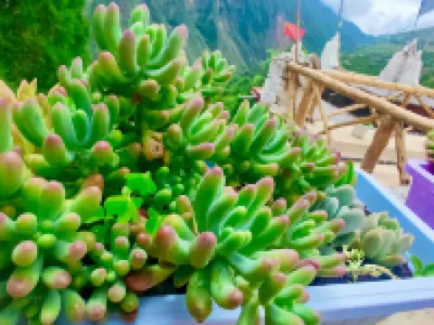 Danba township home stay small Hotels in Danba County