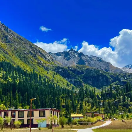 Lunzhuze Homestay