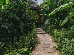 Avana Retreat