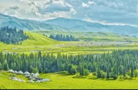 Youyou Xiaozhu Homestay