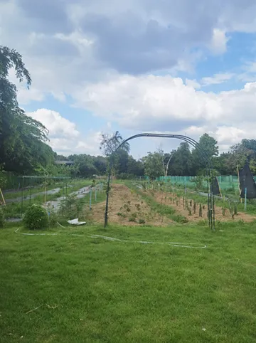 รูปภาพของเลิฟ​ อิน​ กาญจ​น์