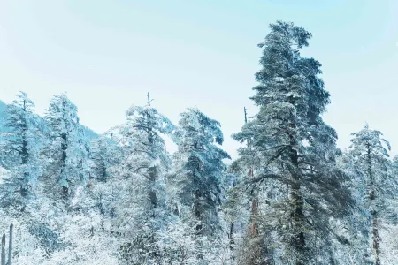Emeishan Sanhejia Hotel Отели рядом с достопримечательностью «Jiulao Cave»