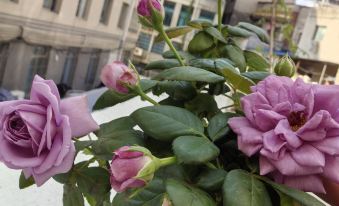 Qianxi Shihang Qiuyi Homestay