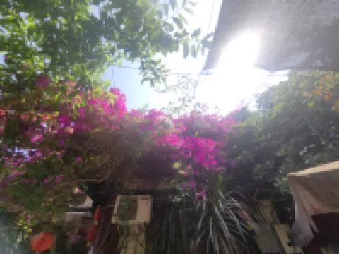 phoenix river view home stay in the water โรงแรมใน