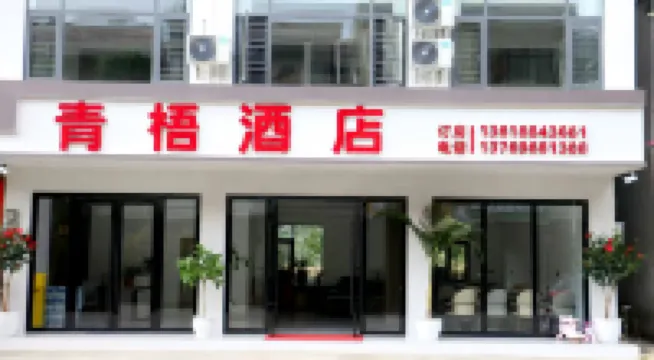 Qingwu Hotel (Nizhu River Canyon)