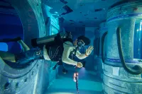bluestay · Dive Hotel - Family