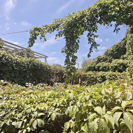 Changting Puyuan Homestay & Youth Hostel