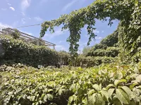 Changting Puyuan Homestay & Youth Hostel - balcony