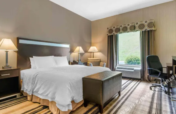 希爾頓歡朋酒店-米德維爾