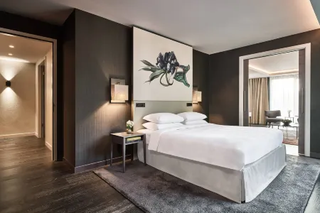 Hyatt Regency Amsterdam Отели рядом с достопримечательностью «Amstella Charters»