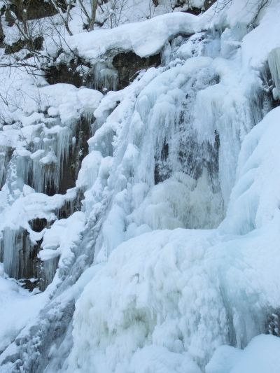 ホテル周辺 ホテルアソシア高山リゾートの写真