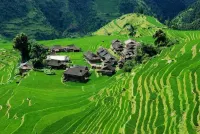 Jiabang Terraces Yingyou Home