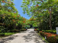 Bokeyue Club Holiday Villa - Spa
