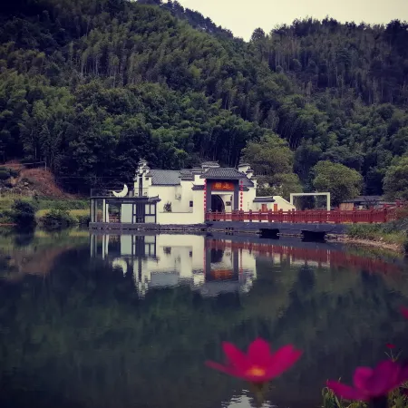 DALE resort