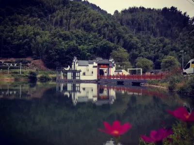 DALE resort