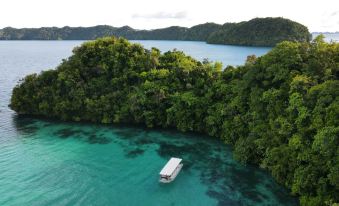 PALAU PARADISE COMFORT