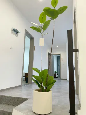 Shanye Xiaozhu Homestay Hotels in Siming Lake/Siming Mountain Scenic Area